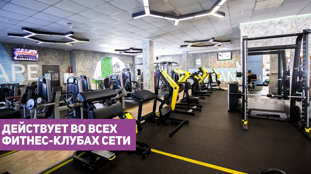 1 год Безлимит