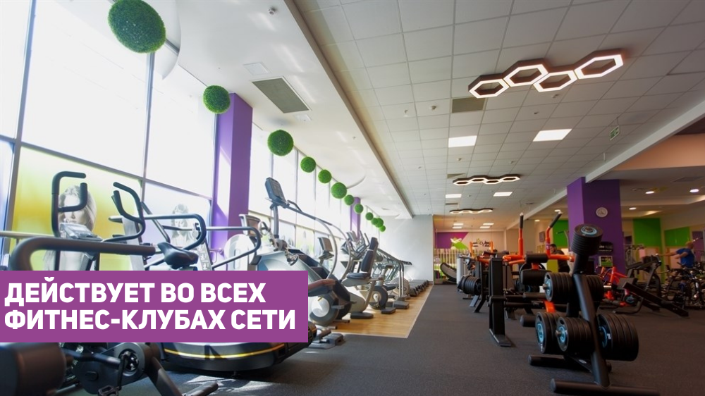 6 месяцев Безлимит