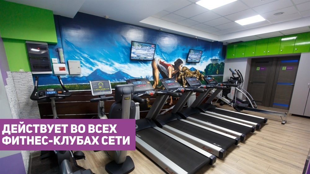 6 месяцев Дневной с 12 до 17